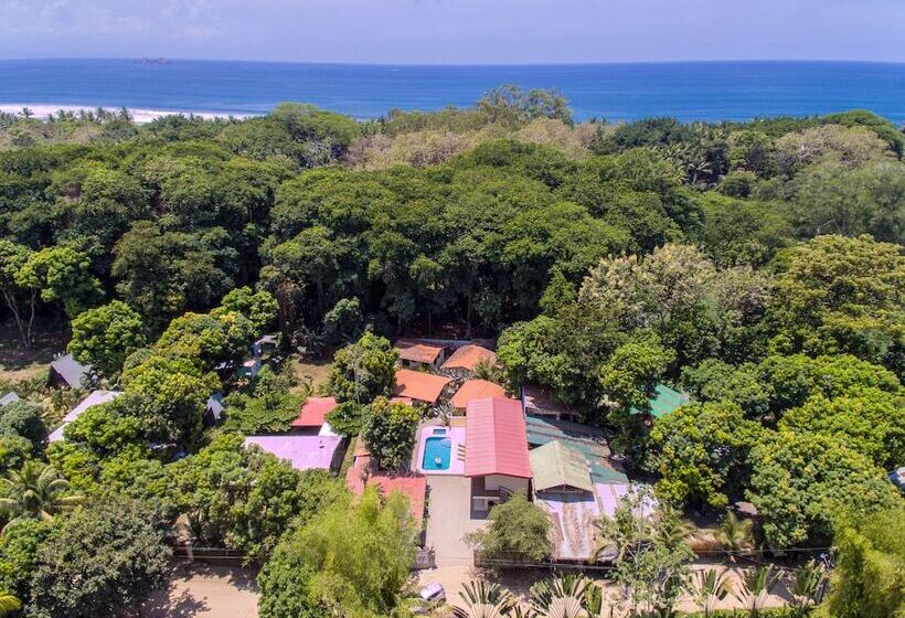 فندق Tropical Beach