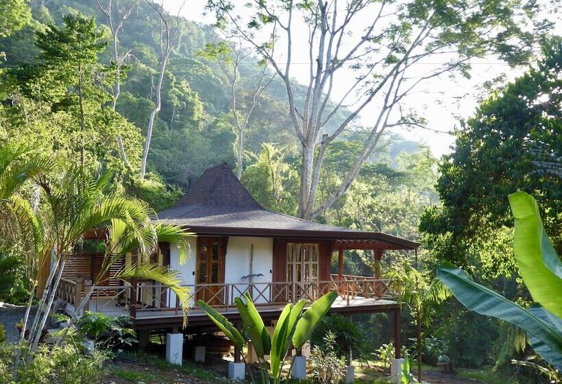 فندق Uvita Bali Bosque Retreat