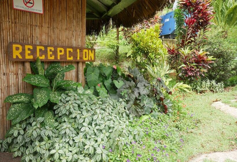 فندق Villa Tavida Lodge