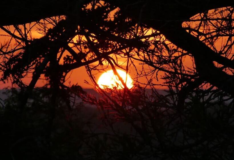 فندق Wami River Bush Retreat   Kisampa