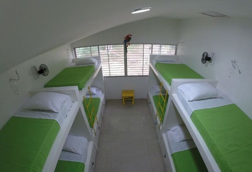 La Sucursal Hostel Adults Only