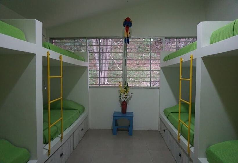 La Sucursal Hostel Adults Only