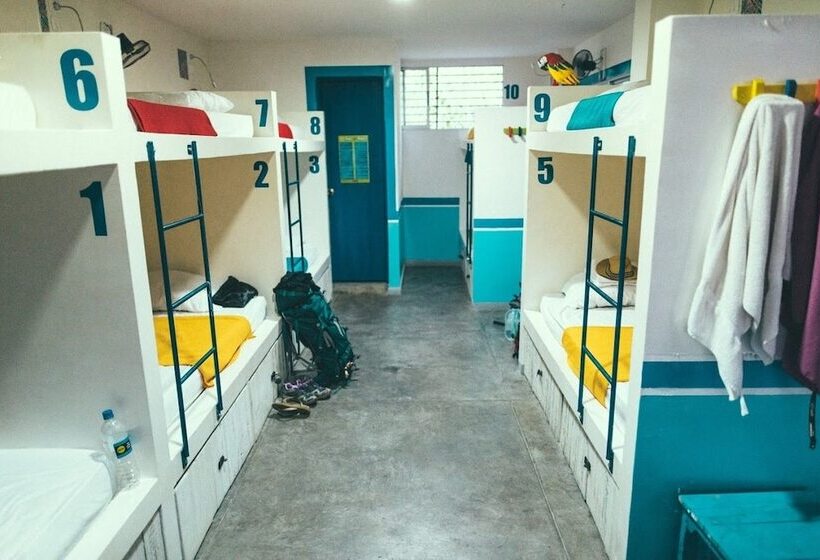 La Sucursal Hostel Adults Only