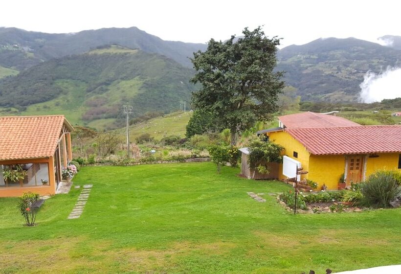 Monte Gracia Wellness Hotel & Spa   Adults Only