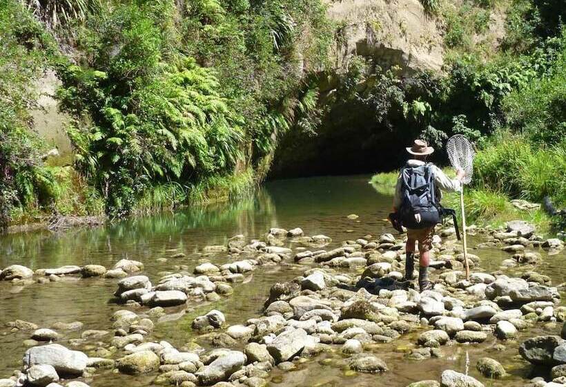 מוטל Putaruru Arms Motor Inn