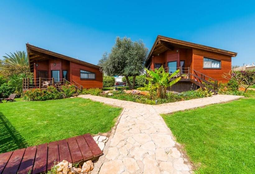 Nof Tzameret Cabins   Adults Only