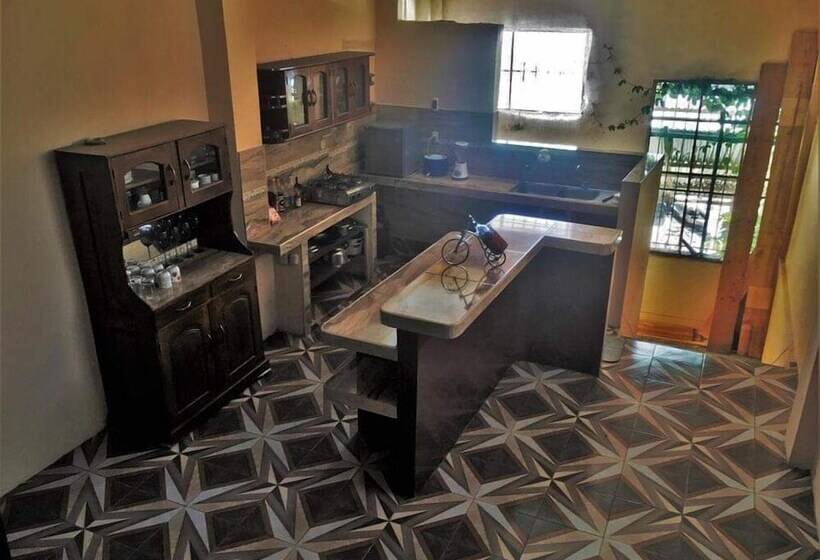 بنسيون Amazon Dream Hostel