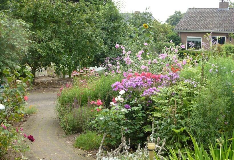 پانسیون B & B Familie Van Vliet