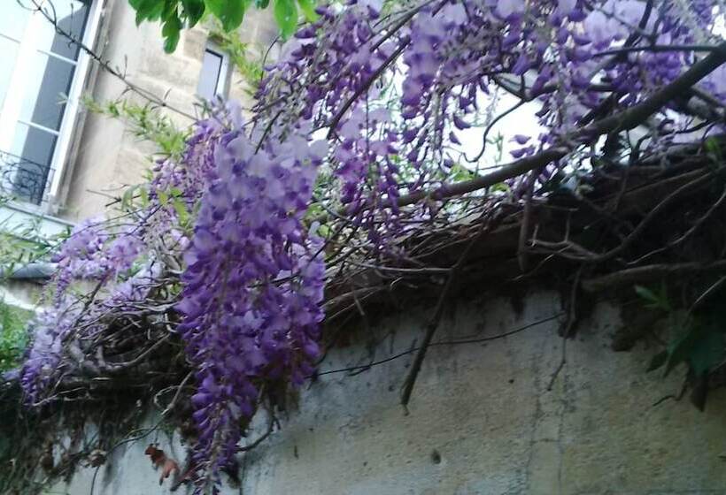 پانسیون Blue Lodge In Bordeaux