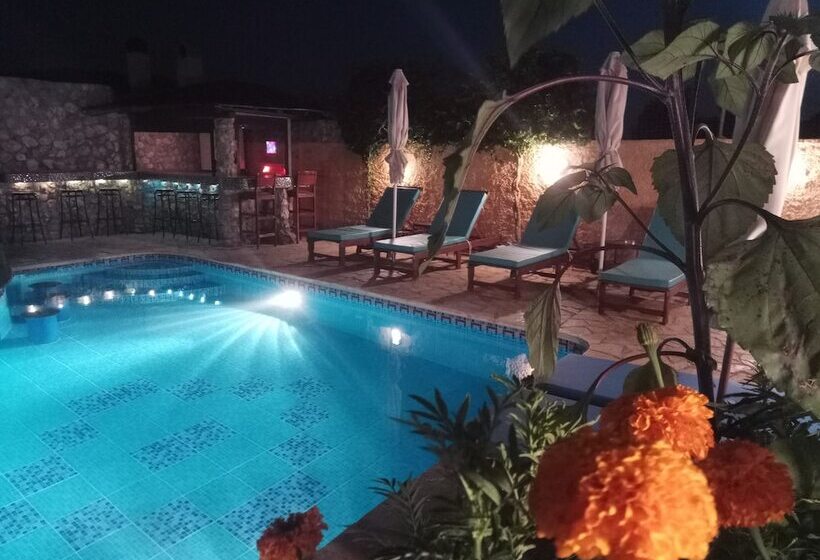 פנסיון Guest House Kithairon