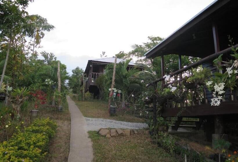 بنسيون Windy Willow S