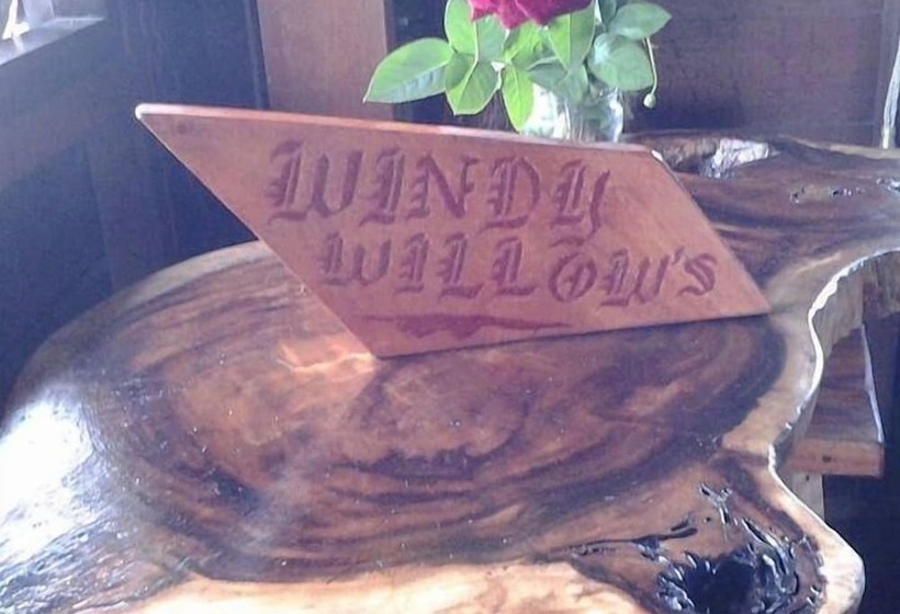 بنسيون Windy Willow S