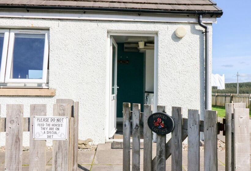 Poppies Cottage