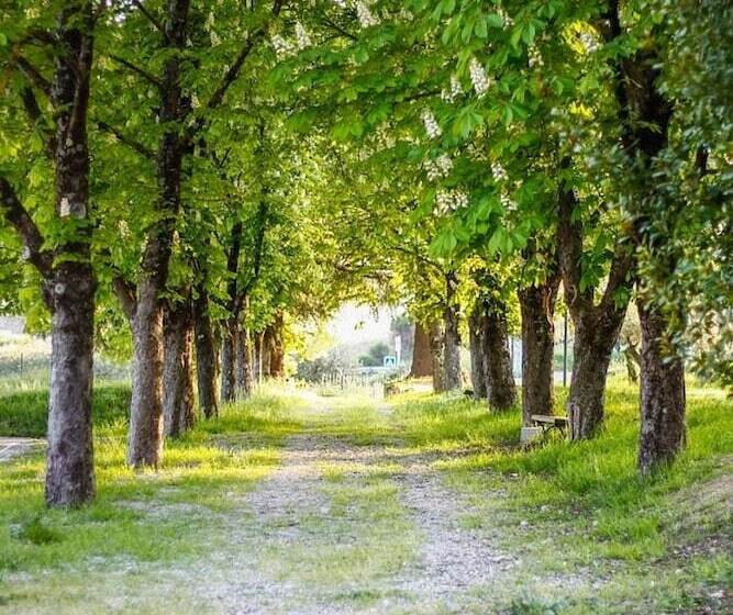 住所  Odésia Vacances Domaine Du Thronnet