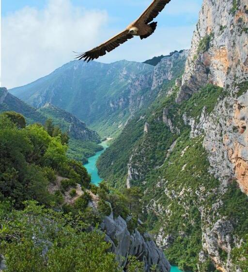 住所  Odésia Vacances Domaine Du Thronnet