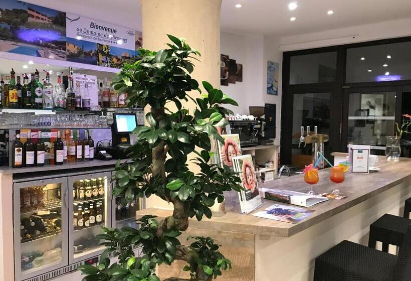 住所  Odésia Vacances Domaine Du Thronnet