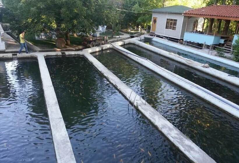 Alanlar Alabalık Ve Otel