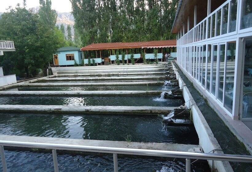 Alanlar Alabalık Ve Otel