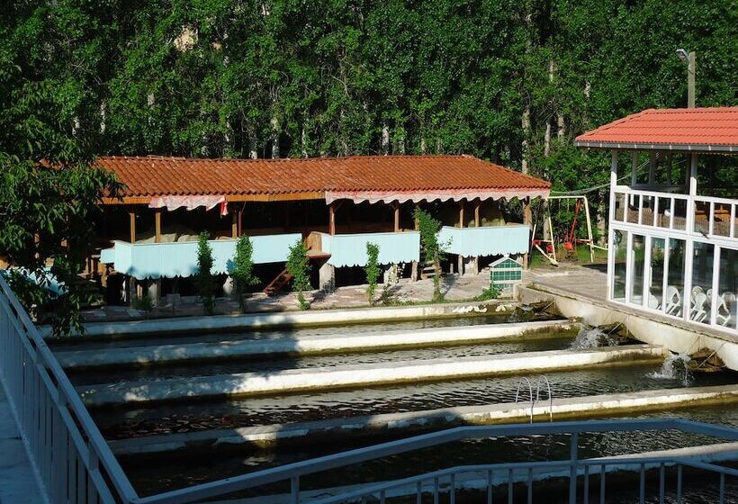 Alanlar Alabalık Ve Otel