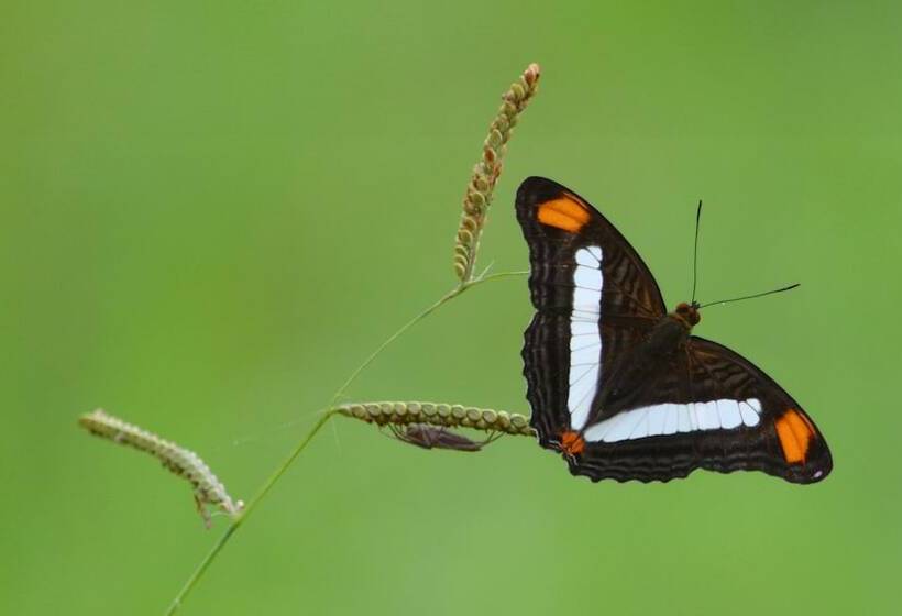 B&b Jardin De Los Monos