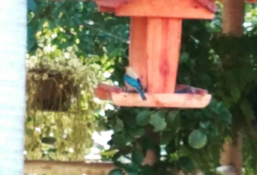 Bed and Breakfast Acomodação Penedo