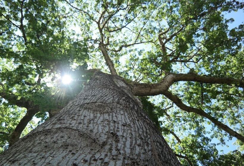 Bed and Breakfast San Gil Casa Colonial