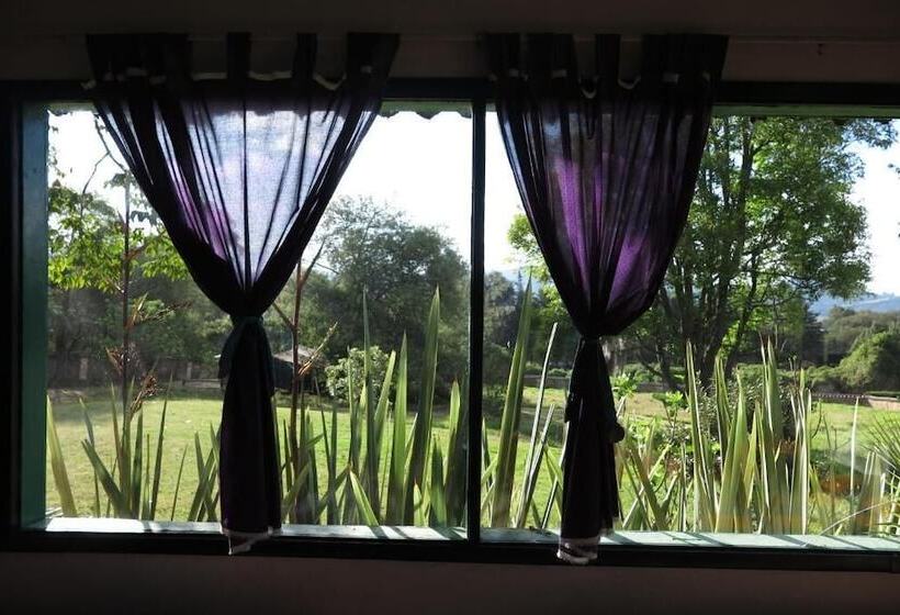 مبيت وإفطار La Juanita Finca Verde