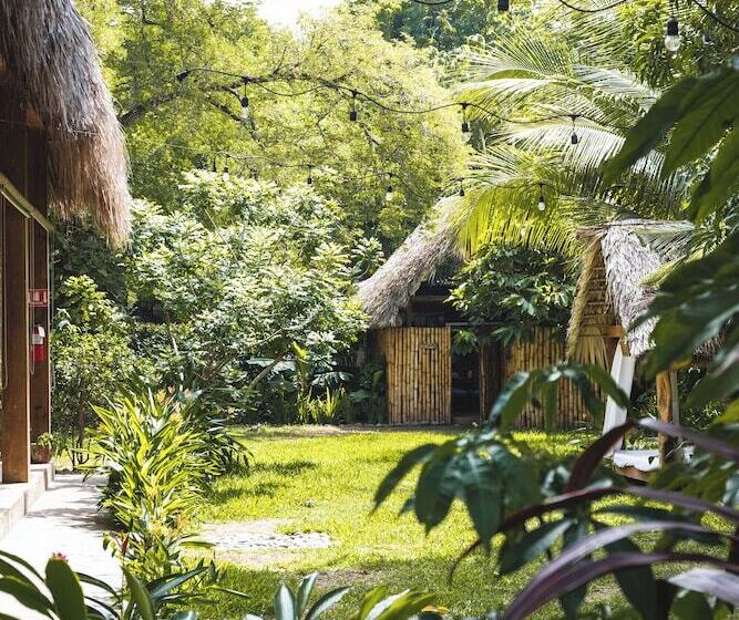 住宿加早餐  Michanti