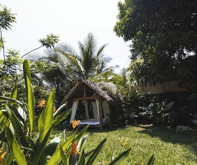 住宿加早餐  Michanti