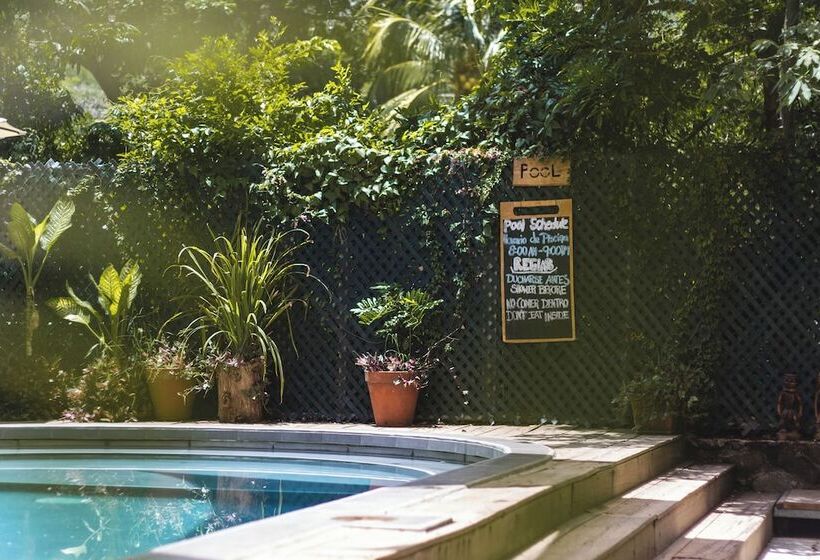 住宿加早餐  Michanti