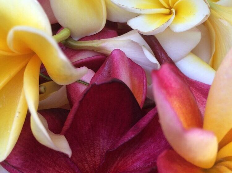 צימר Sama S Cottages And Villas