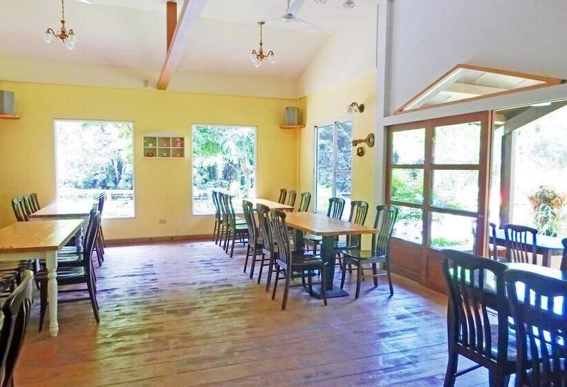 تختخواب و صبحانه Springcreek Hostel