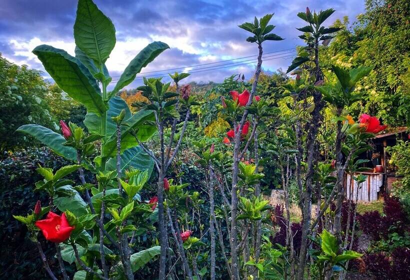 Casa Agrreste Bed & Breakfast