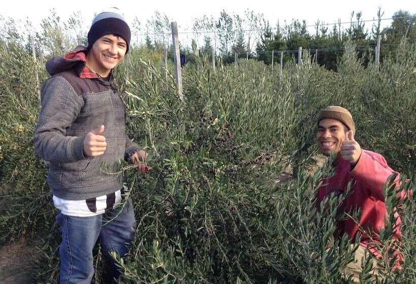 Chacra La Calandria B&b