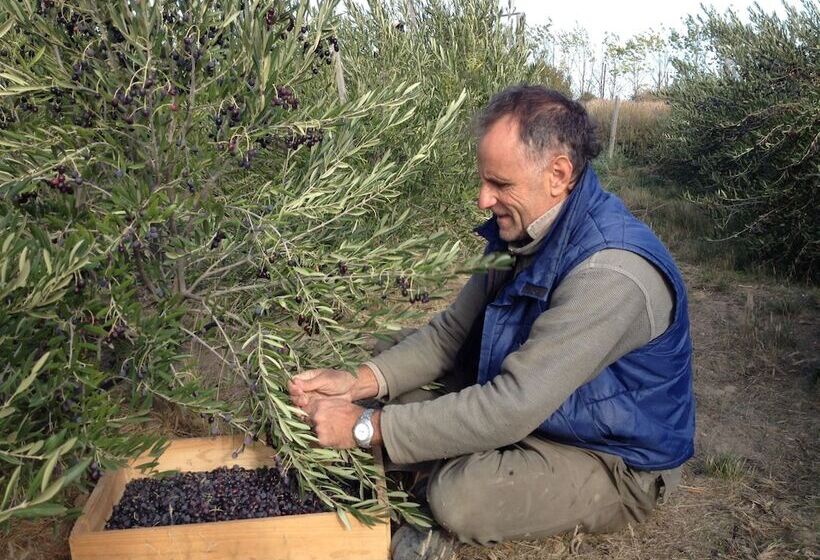 Chacra La Calandria B&b