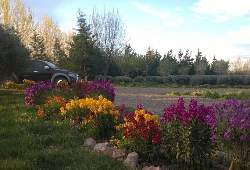 Chacra La Calandria B&b