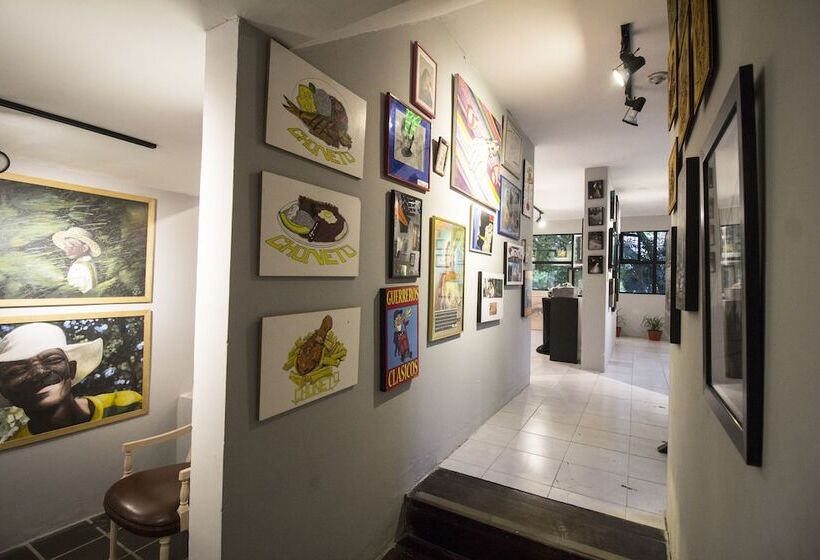 Coolto Art Lodge Hostel