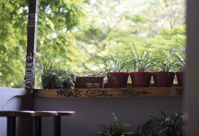 Coolto Art Lodge Hostel