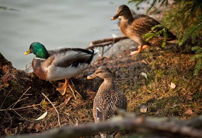 Country Resort Hotel All Inclusive