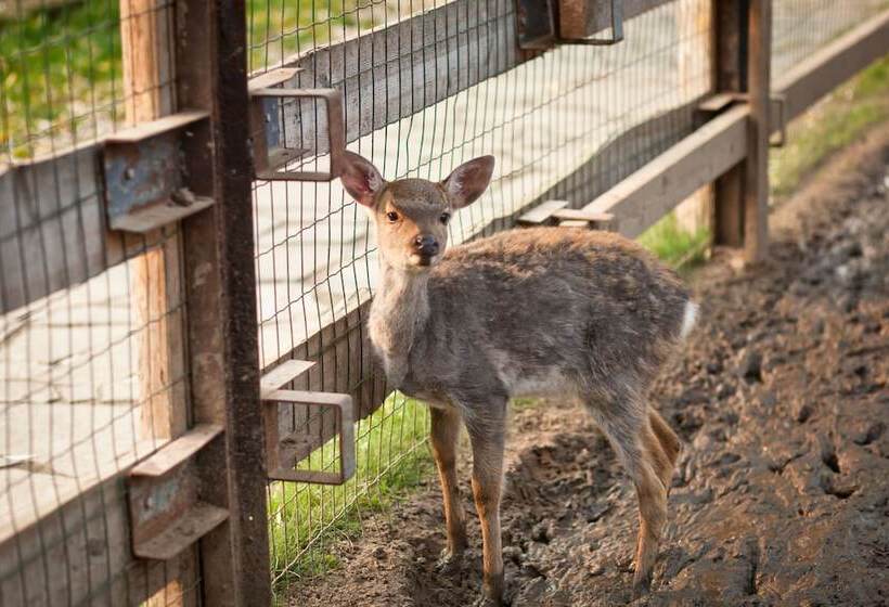 Country Resort Hotel All Inclusive