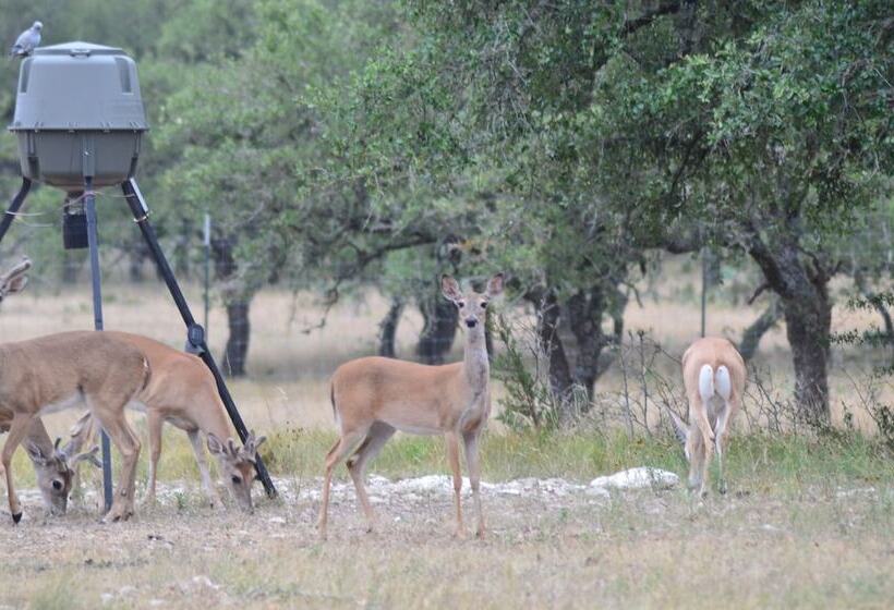 Cowboys And Angels Retreat