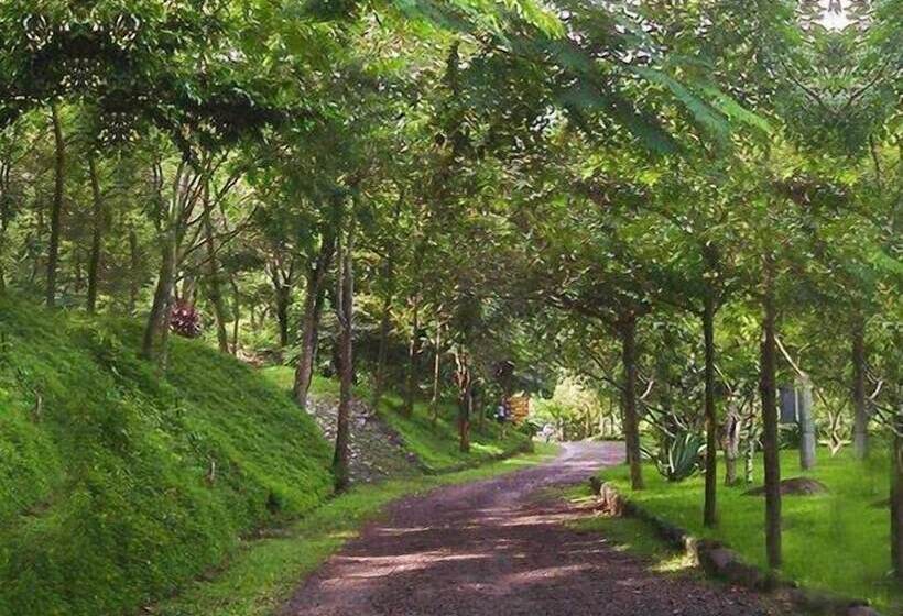 Glamping Furesa Experience   Hostel