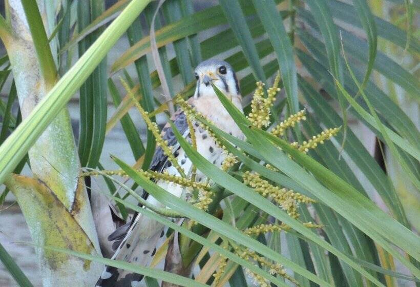 Habitation Desrosiers