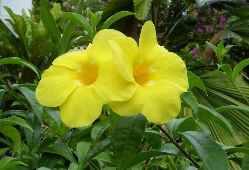 Habitation Desrosiers