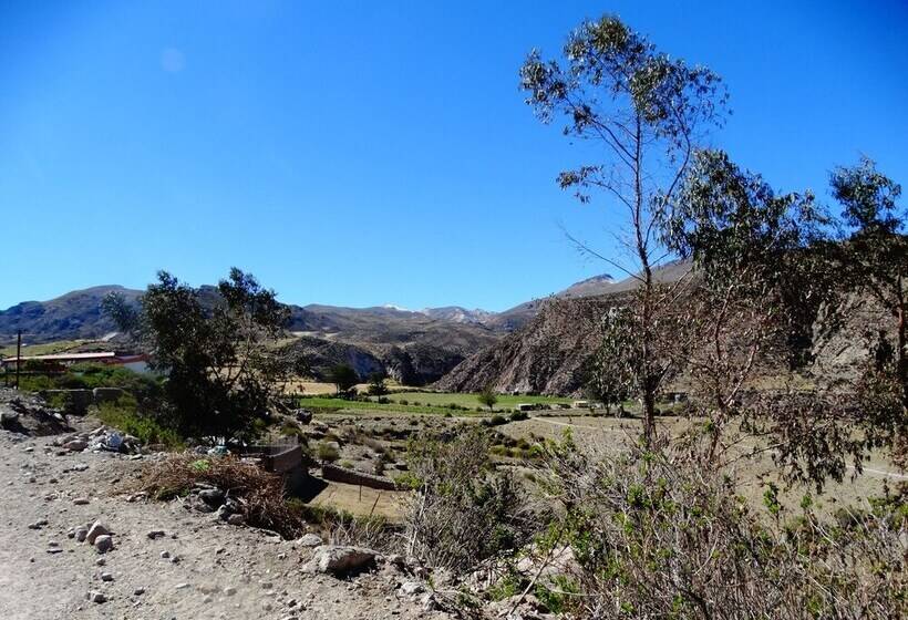 Hostal Pachamama Putre   Hostel