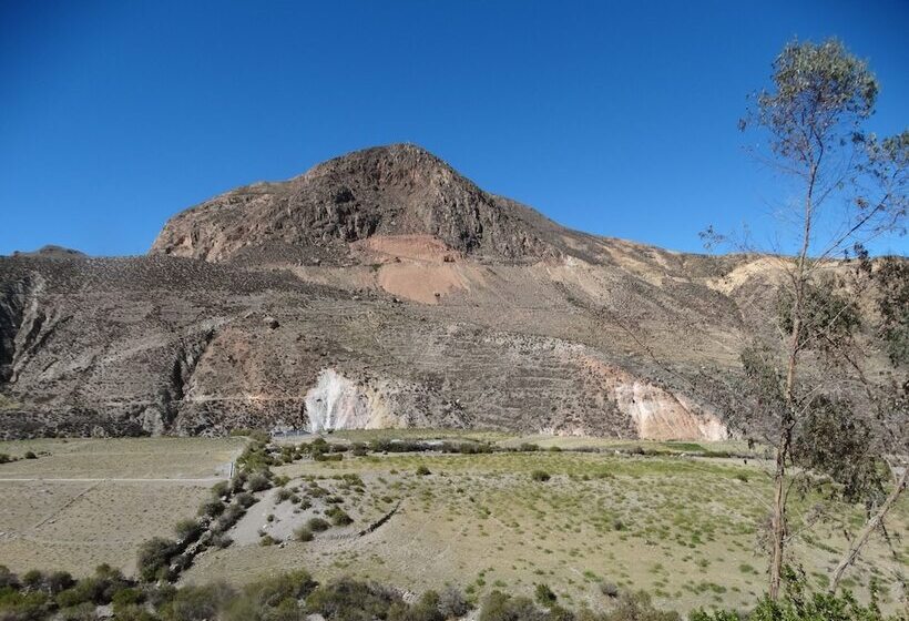 Hostal Pachamama Putre   Hostel