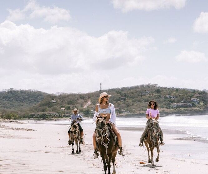 فندق 99 Surf Lodge