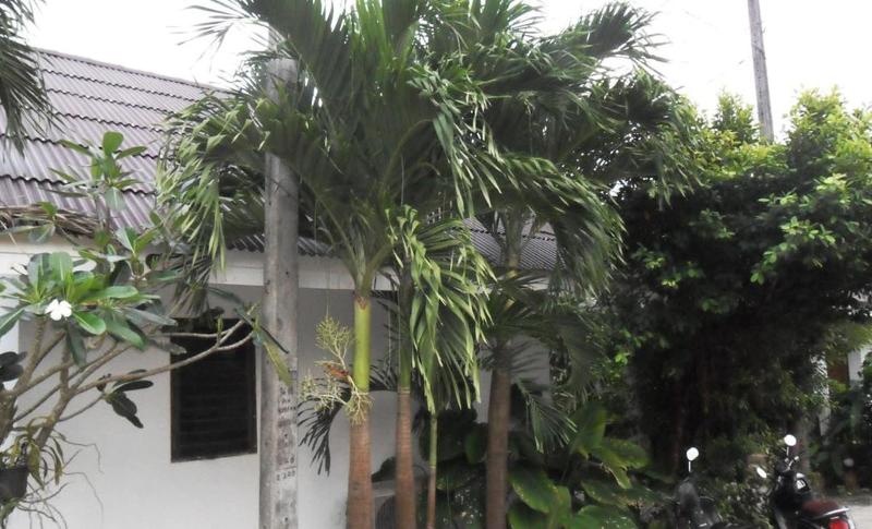 ホテル Aonang Sr Bungalow