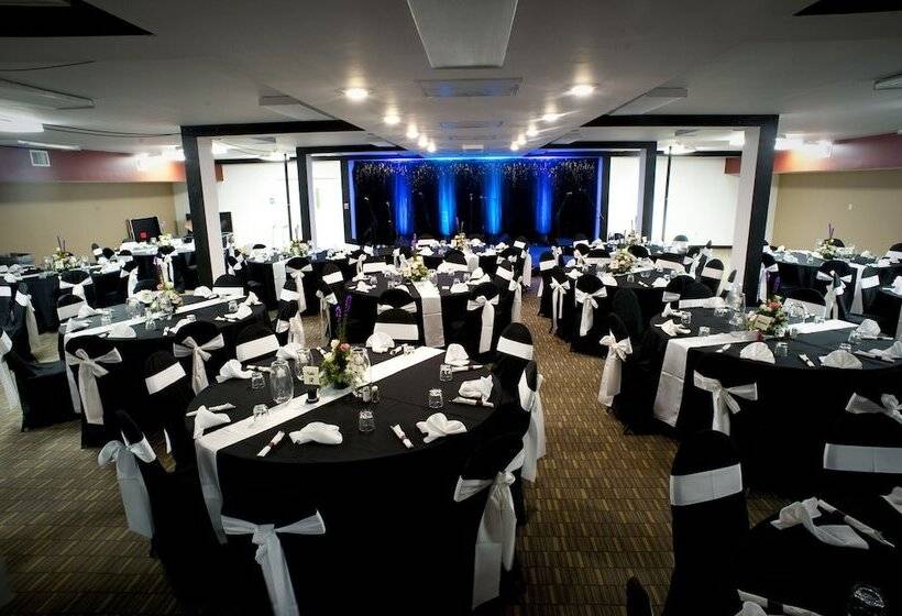 فندق Bear Claw Casino &