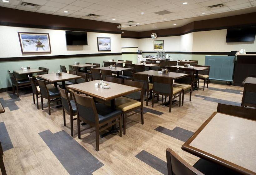 فندق Bear Claw Casino &